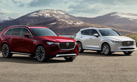 $750 OWNER LOYALTY BONUS CASH